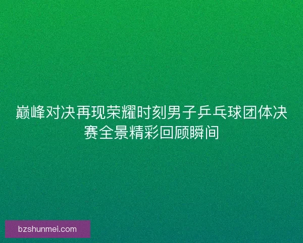巅峰对决再现荣耀时刻男子乒乓球团体决赛全景精彩回顾瞬间